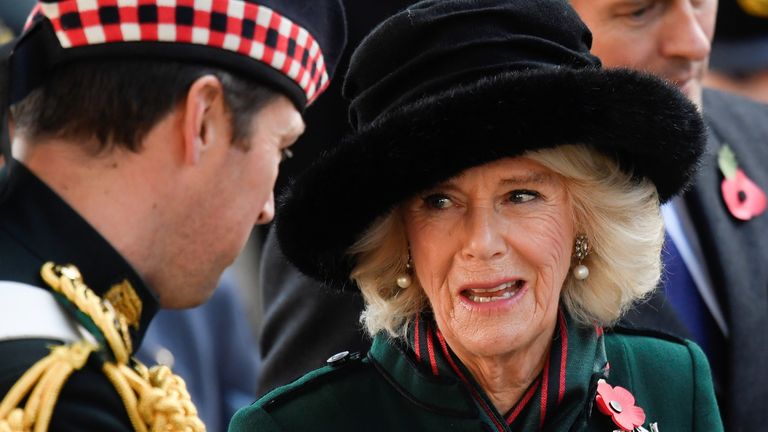 Britain&#39;s Camilla, Duchess of Cornwall, patron of The Poppy Factory, attends the 93rd Field of Remembrance at Westminster Abbey, London, Britain, November 11, 2021. REUTERS/Toby Melville
