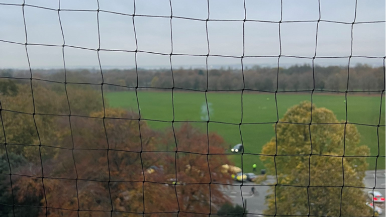 Police investigating the explosion outside Liverpool Women's Hospital have carried out a controlled explosion in Sefton Park. Pic: Frances Evans