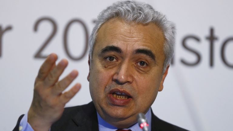 FILE PHOTO: International Energy Agency (IEA) chief Fatih Birol speaks at a news conference on the sidelines of G20 Energy Ministers Meeting in Istanbul, Turkey, October 2, 2015. REUTERS/Osman Orsal//File Photo