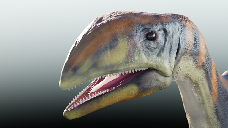 Living reconstruction of Issi saaneq, a newly discovered dinosaur that lived on Greenland 214 million years ago. Pic: Victor Beccari