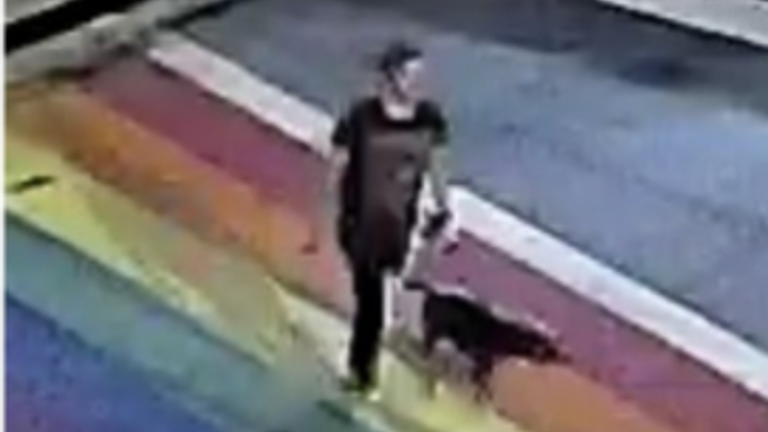 CCTV footage released by police shows Ms Janness walking along the city&#39;s rainbow Pride crosswalk