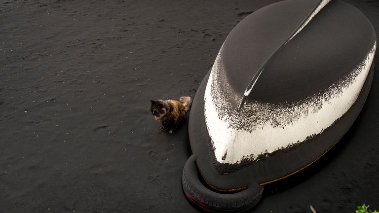 Eine Katze sitzt neben einem Boot, das mit Asche eines Vulkans in Puerto Nau bedeckt ist.  Foto: AP