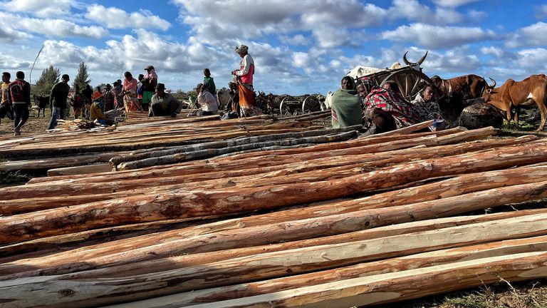 Wood sellers at the market near the southern town of Tsiombe