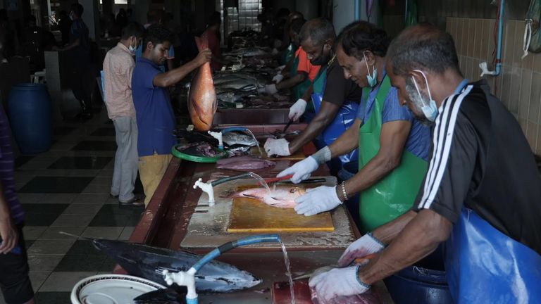 Male’s fish market is buzzing