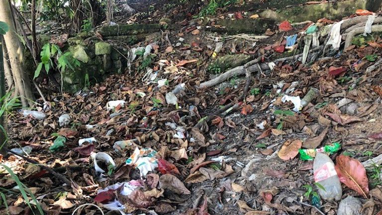 Plastic and other rubbish on the river bank and in the forest