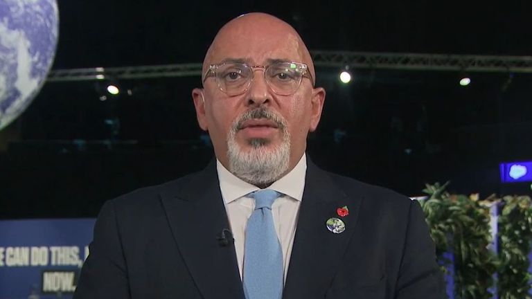 Nadhim Zahawi says the government was &#39;wrong to conflate&#39; one case with reform of standards investigation