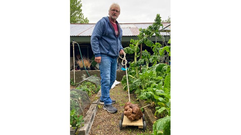 Colin Craig-Browns se tient près d'une grosse pomme de terre extraite de sa maison Gardena près de Hamilton, en Nouvelle-Zélande, le mercredi 3 novembre 2021. Le couple néo-zélandais a déterré une pomme de terre de la taille d'un petit chien dans son jardin et a demandé reconnaissance du Guinness World Records.  Ils disent qu'il pesait 7,9 kilogrammes (17 livres), bien au-dessus du record actuel d'un peu moins de 5 kg.  Ils ont nommé la patate Doug, parce qu'ils l'ont déterrée.  (Donna Craig-Brown via AP) PIC:AP