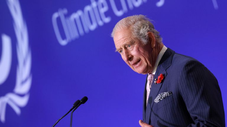 Charles has campaigned on the issue of climate change for decades