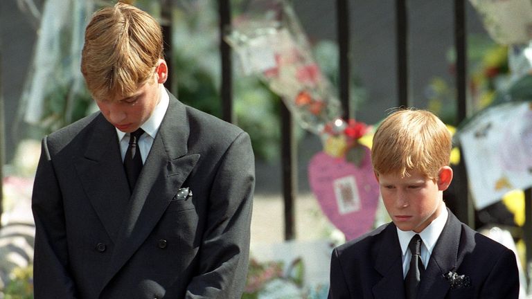 Prince William and Prince Harry during their mother&#39;s funeral