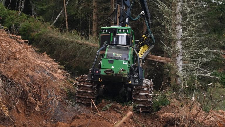 Trees are being felled on the Bunloit Estate to save the peatland 