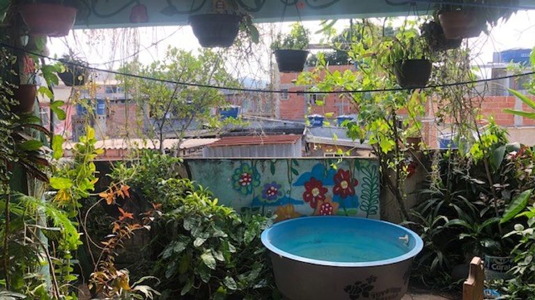 Luis Cassiano&#39;s piece of tropical paradise in the Parque Arara favela north of Rio