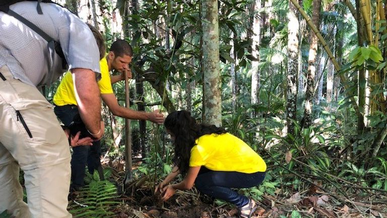 Mr Farah is planting trees along the river&#39;s tributaries