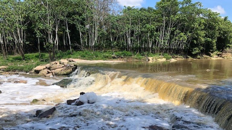 The river is covered in a film of pollution