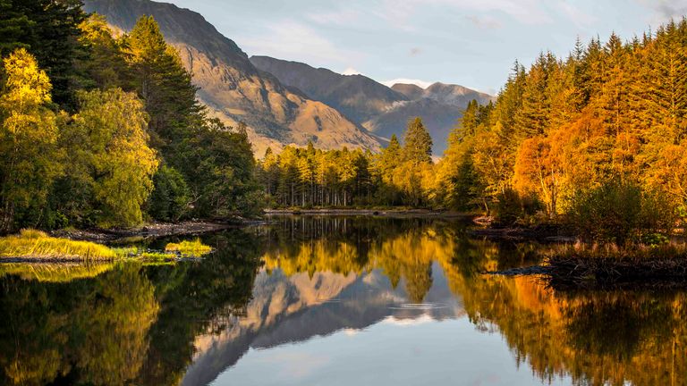 Previously unissued photo of trees displaying autumn colours reflected in the still waters of Glencoe Lochan in the Scottish Highlands.