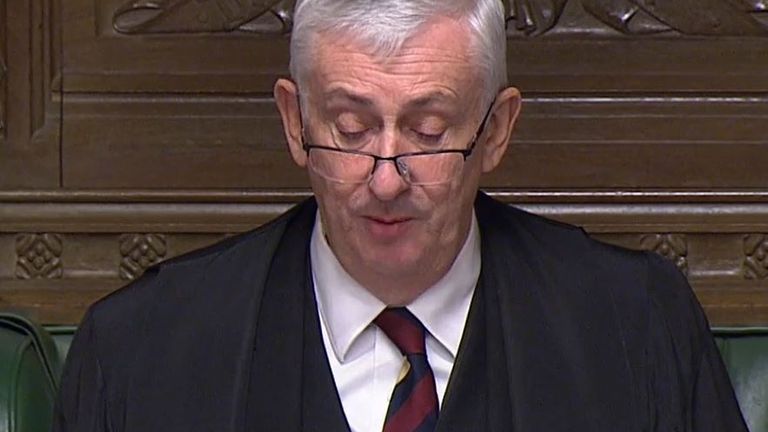 Sir Lindsay Hoyle delivers a statement on babies and children in the Commons