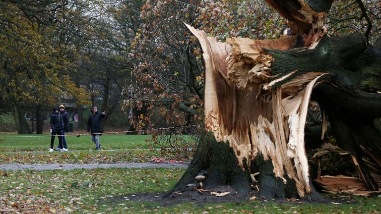 Soccer Football - Championship - Hull City v Millwall - KCOM Stadium, Hull, Britain - November 27, 2021 Fans walk past a fallen tree outside the stadium as a result of Storm Arwen Action Images via Reuters/Ed Sykes
