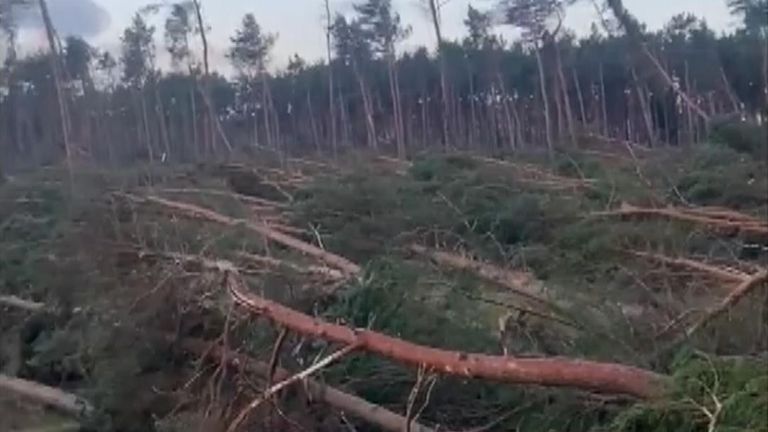 Numerous tress are brought down by Storm Arwen in Scotland