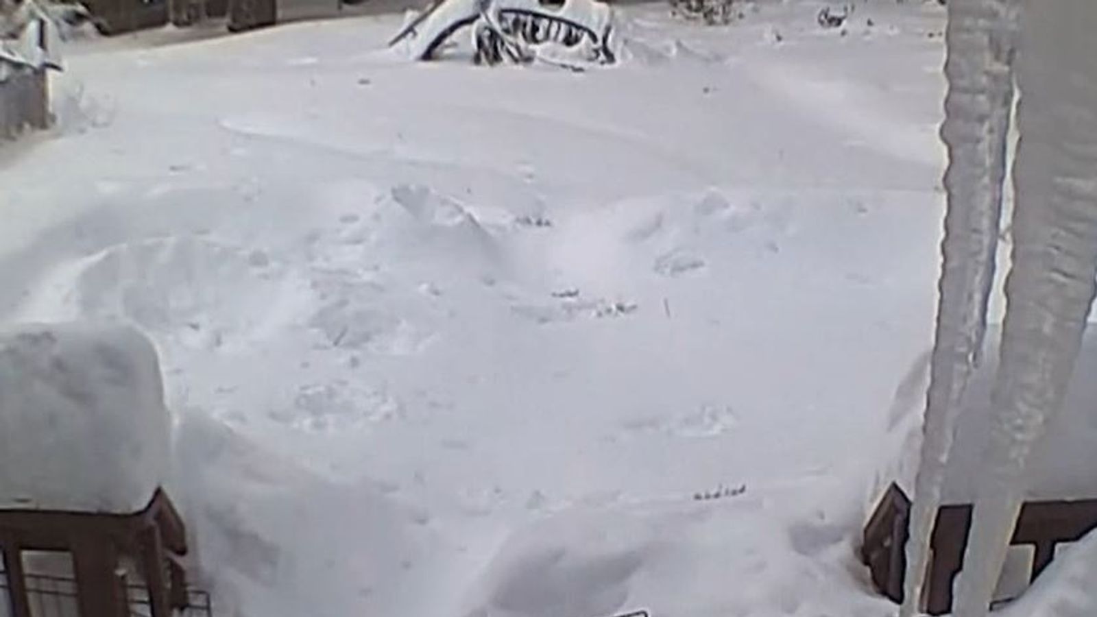 Timelapse shows record level snow building up in California garden