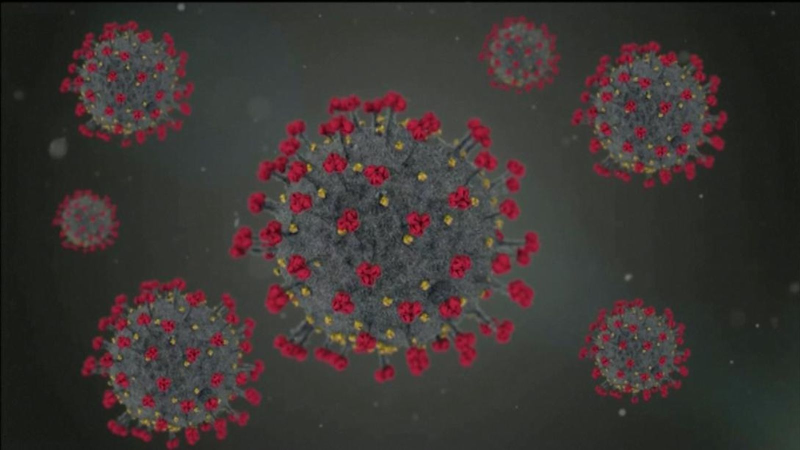 COVID: Omicron variant multiplies 70 times faster than Delta in human lungs, study finds - Sky News