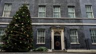 The Christmas tree outside 10 Downing Street