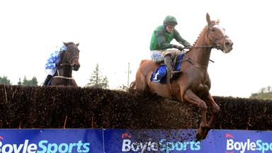 Concertista could head straight for Mares' Chase