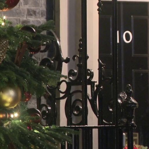 What parties are alleged to have taken place in Whitehall and Downing Street during lockdown?