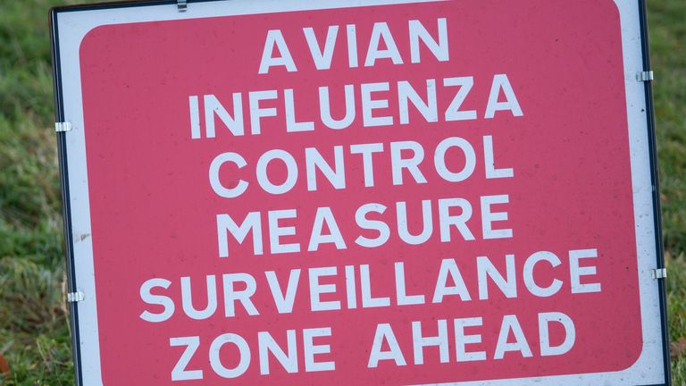 علامت هشدار برای آنفولانزای پرندگان در Barkby، Leicestershire.  تاریخ عکس: یکشنبه 12 دسامبر 2021