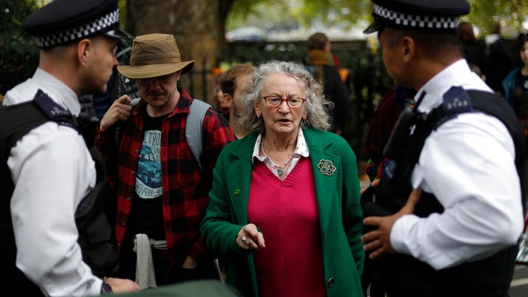 Baroness Jones of Moulsecoomb argued the Met had a &#39;case to answer&#39; Pic: AP