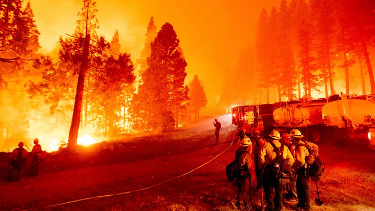 California Tahoe Wildfire Arrests