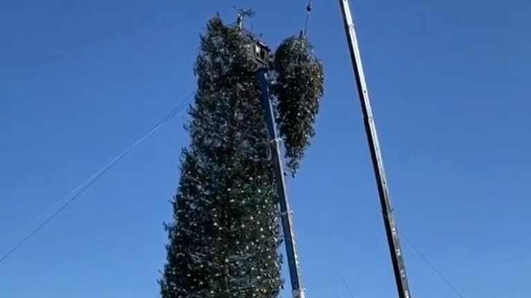World&#39;s &#39;tallest&#39; Christmas tree snaps in high wind