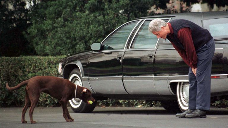 President Clinton tries to get his dog Buddy to give back the ball as they play a game of fetch on the White House South Lawn in 1998