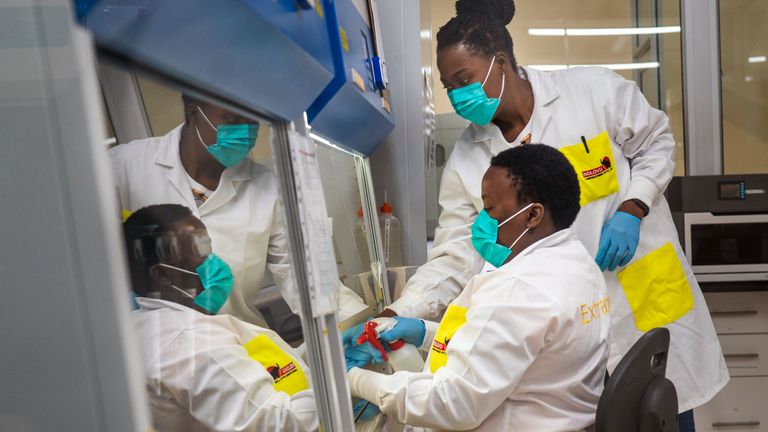 Scientists prepare to sequence COVID-19 omicron samples at the Ndlovu Research Center in Elandsdoorn, South Africa