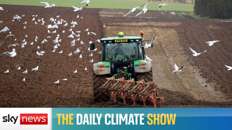 The Daily climate Show