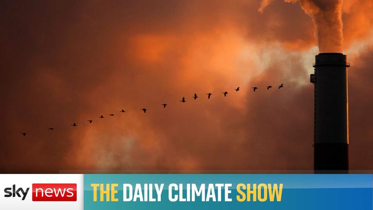 Daily climate show