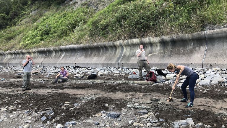 Footprints discovered on a South Wales could have been made over 200 million years ago by an early relative of a dinosaur, experts believe