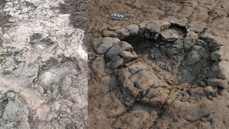 Footprints found on the trackway on the beach in Penarth, South Wales, next to a 3D image of a footprint