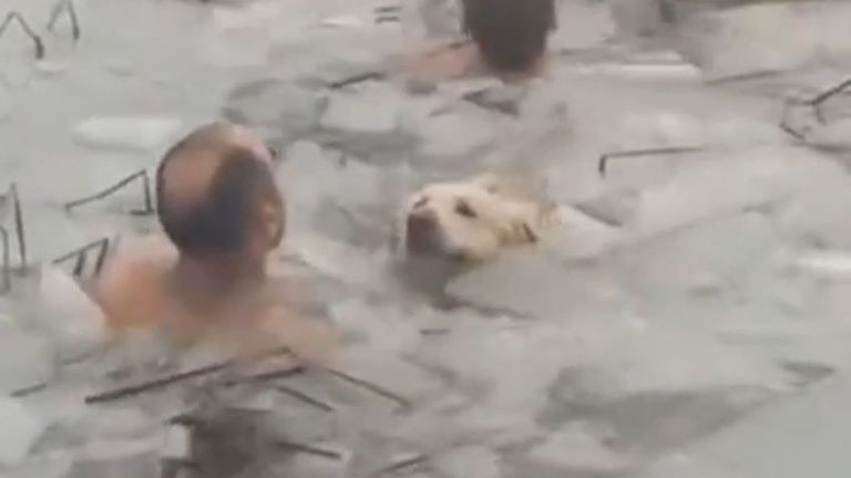 Dog is rescued from icy water in Spain