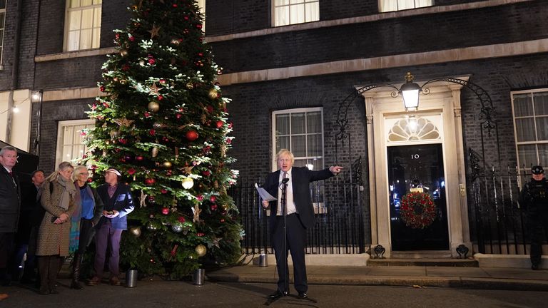 The Downing Street tree looks quite bushy