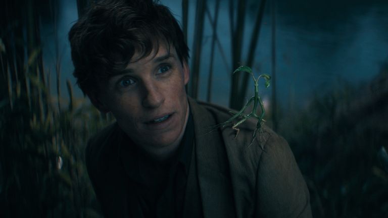 Eddie Redmayne in Fantastic Beasts. Pic: Warner Bros