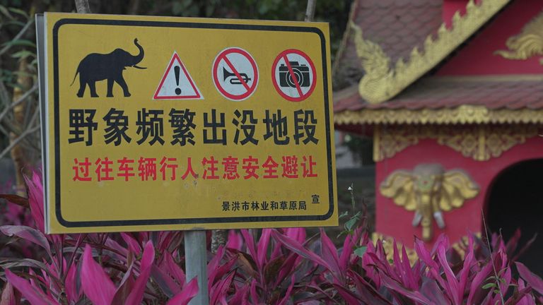 Signs warn about the risks from elephants