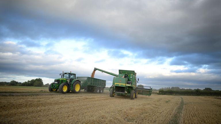 After farmers have harvested their crops they will be paid to sow cover crops through the winter on fields that would be left bare