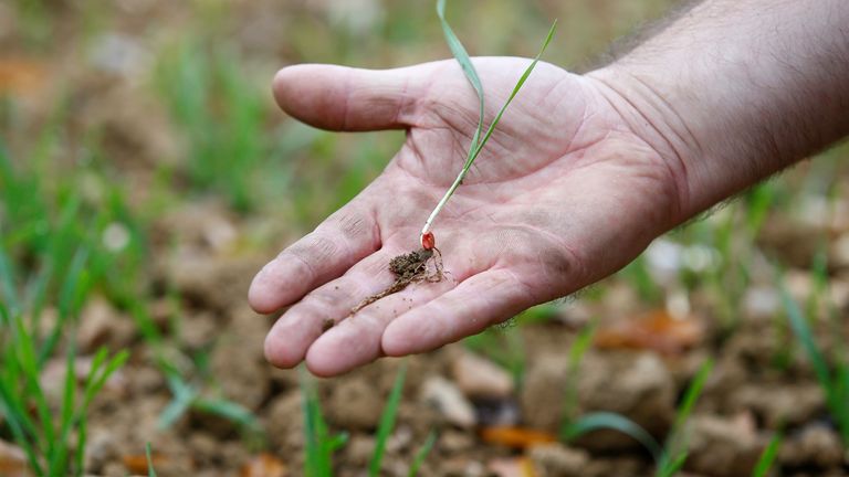 Farmers will be encouraged to grow autumn crops to help soil nutrition