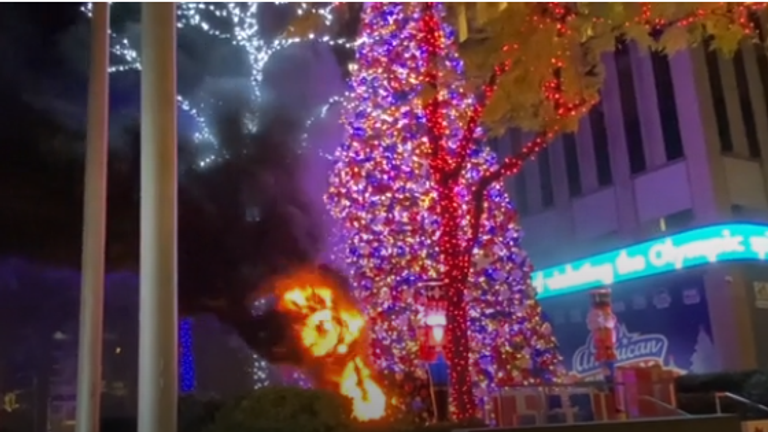 Video footage showed the moment the tree went up in flames. Pic: AP