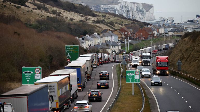 Freight lorries are seen queuing on A20 road into the Port of Dover, in Dover, Britain December 16, 2021. REUTERS/Henry Nicholls.