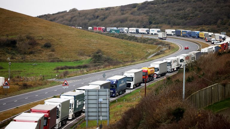 Le 16 décembre 2021, des camions cargo bordent l'A20 sur le port de Douvres à Douvres, au Royaume-Uni.  REUTERS / Henry Nicholls.
