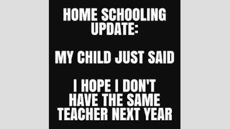 home schooling meme