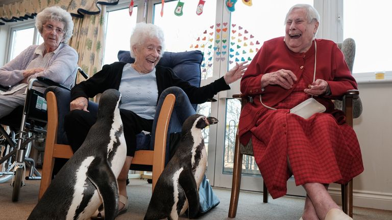 Handout photo dated 10/12/21 issued by the Orders of Saint John Care Trust (OSJCT) of care home residents (left to right) Jacqueline Parsley, 84, June Hicks, 86, and Doreen King, 91, with Humboldt penguins Charlie and Pringle