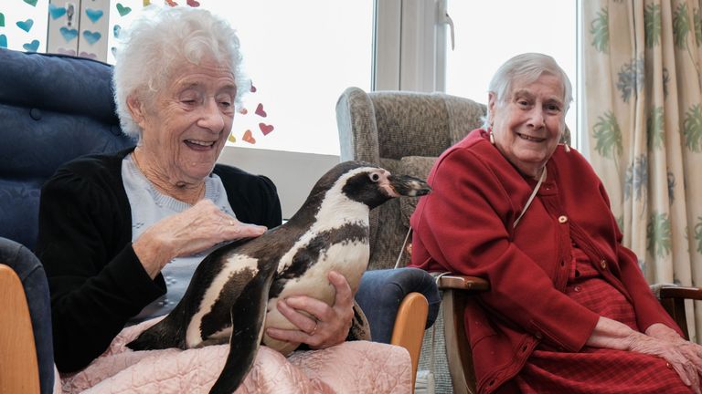 Handout photo dated 10/12/21 issued by the Orders of Saint John Care Trust (OSJCT) of care home residents (left to right) June Hicks, 86, and Doreen King, 91, with Humboldt penguins Charlie and Pringle during a visit to the OSJCT&#39;s Spencer Court care home in Oxfordshire.