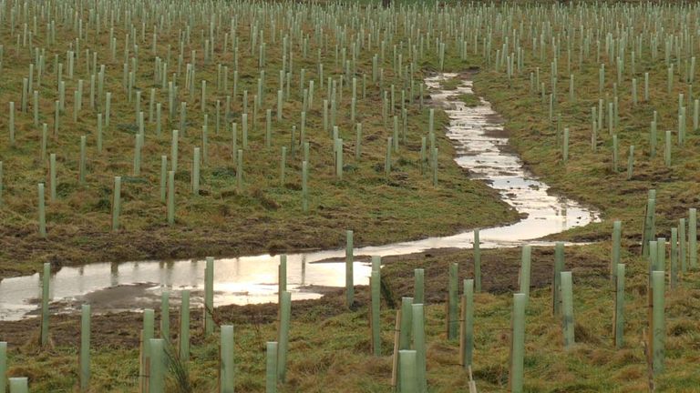 Water is now allowed to find its own way through the landscape