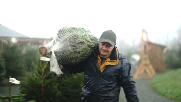 farmer carrying xmas tree - Pentreclawwd Farm, Christmas tree farmer Meurig Rhys-Jones 